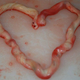 Image for article titled 'Birth Art': The Most Horrifying Trend Ever
